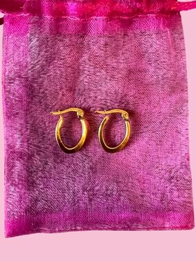 18K Gold Plated Huggie Hoop Earrings NWOT